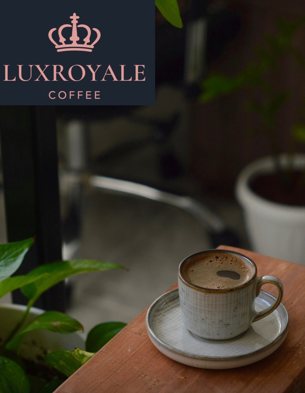 Royale Kensington Swiss Water Decaf